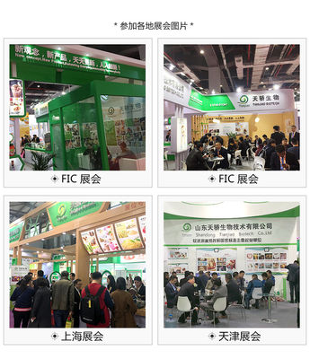 1 kg/25 kg Taro Soft Ice Cream Powder HALAL HACCP ISO KOSHER certificato